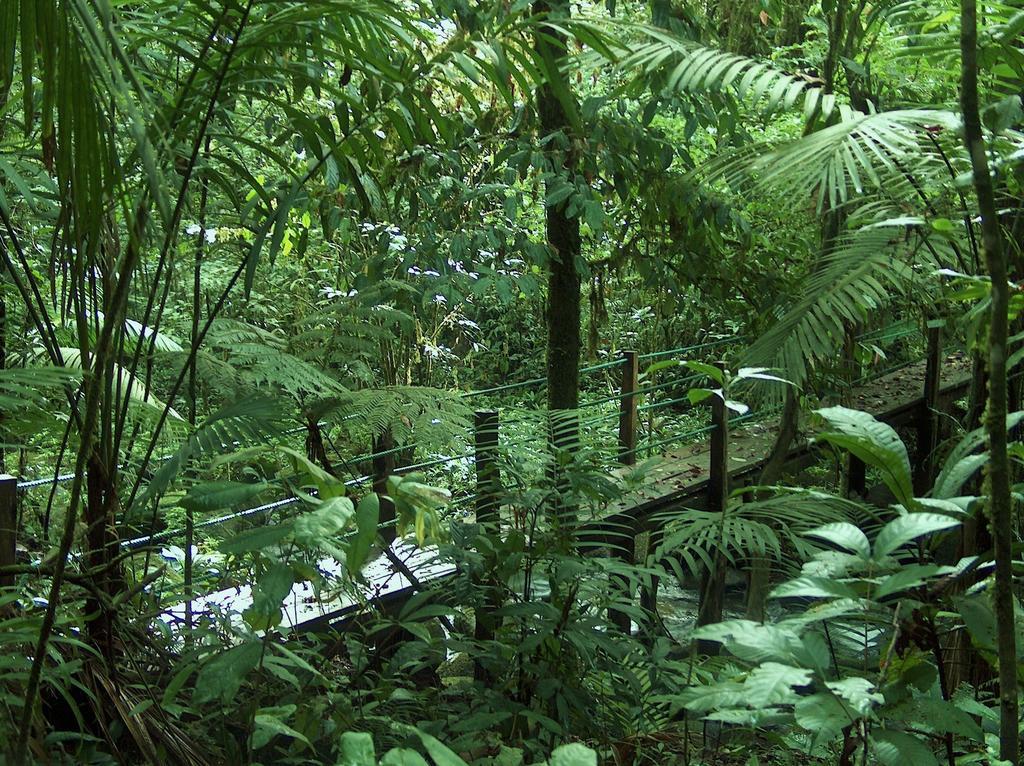 Yatama Rainforest Ecolodge Sarapiquí エクステリア 写真