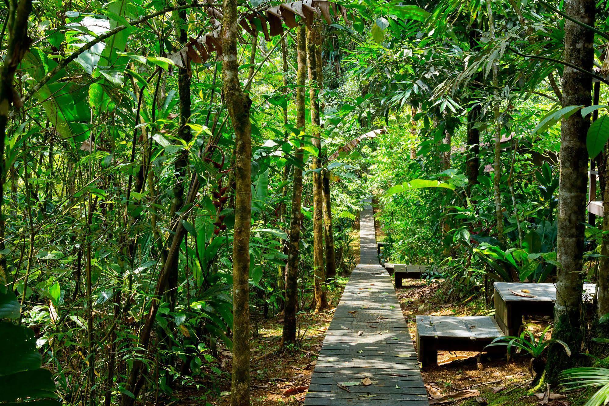 Yatama Rainforest Ecolodge Sarapiquí エクステリア 写真