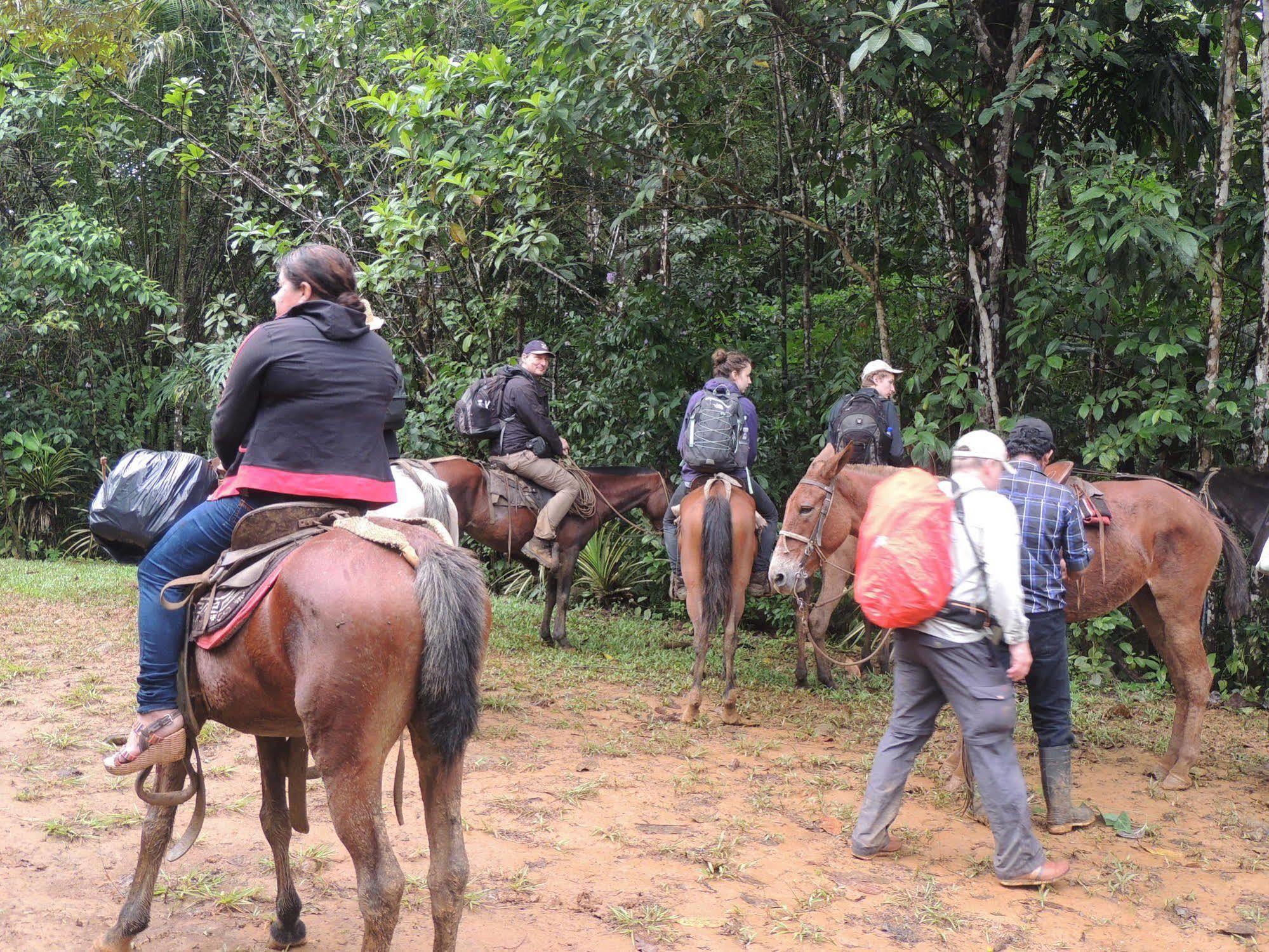 Yatama Rainforest Ecolodge Sarapiquí エクステリア 写真