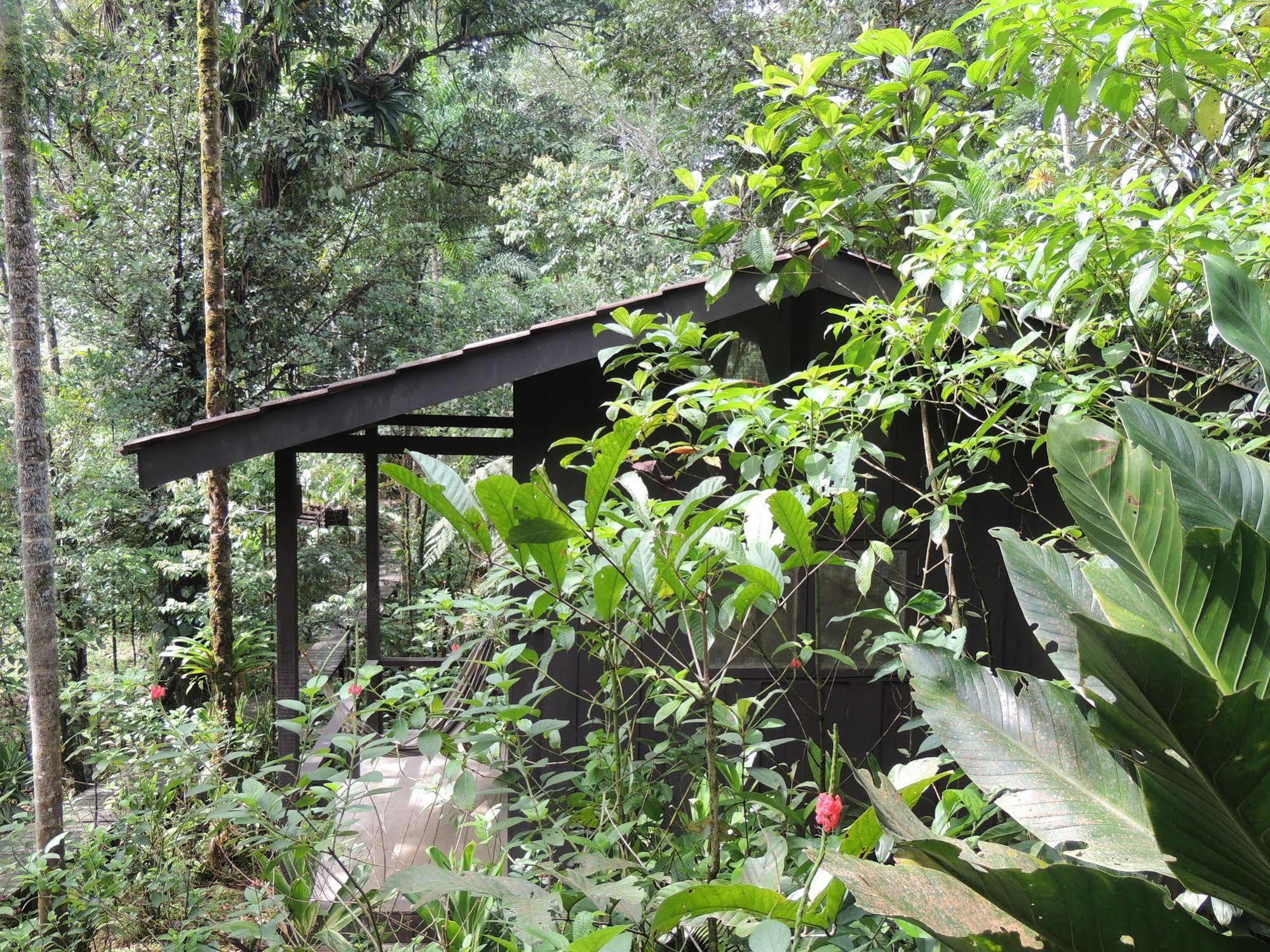 Yatama Rainforest Ecolodge Sarapiquí エクステリア 写真