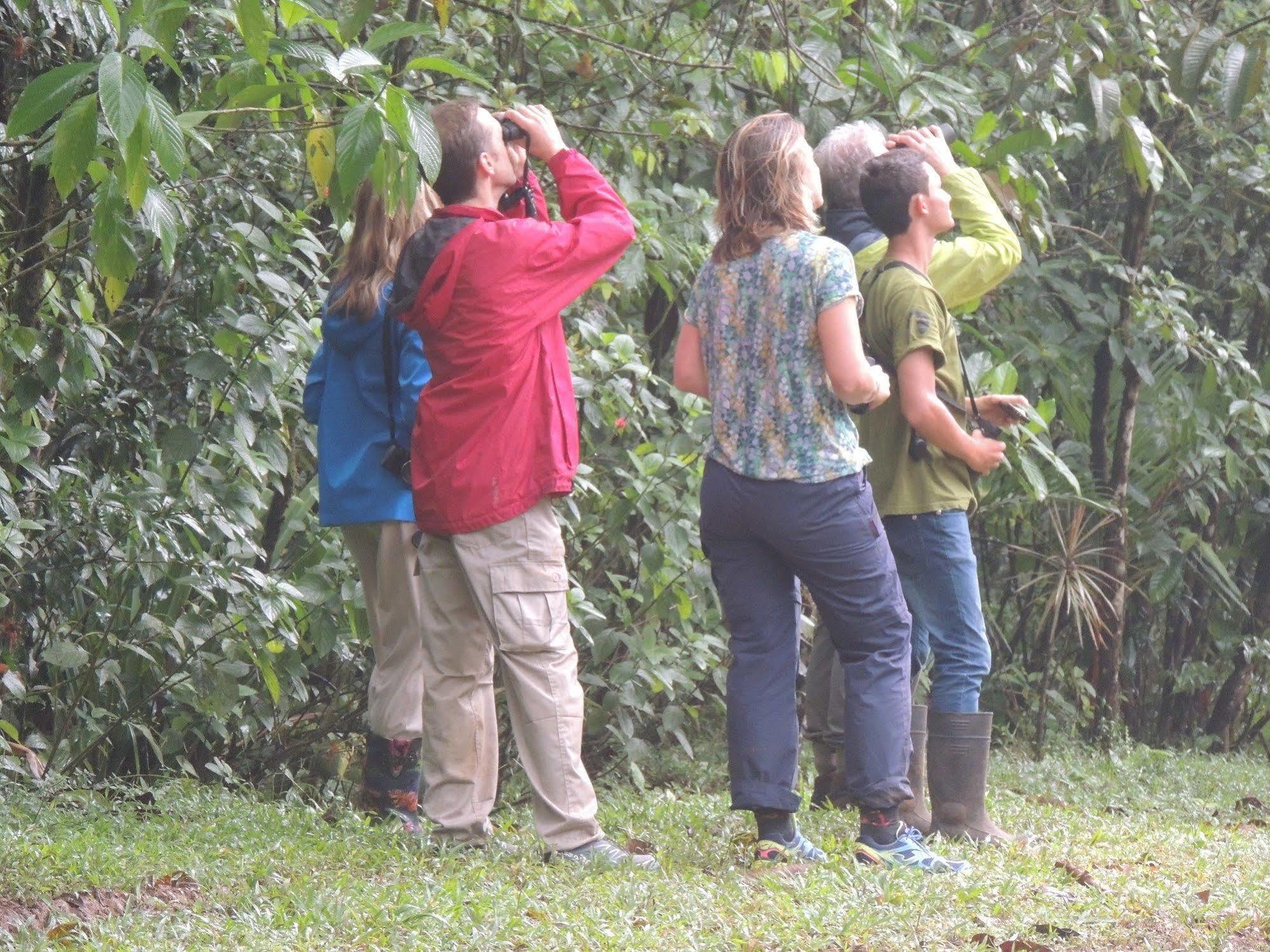 Yatama Rainforest Ecolodge Sarapiquí エクステリア 写真
