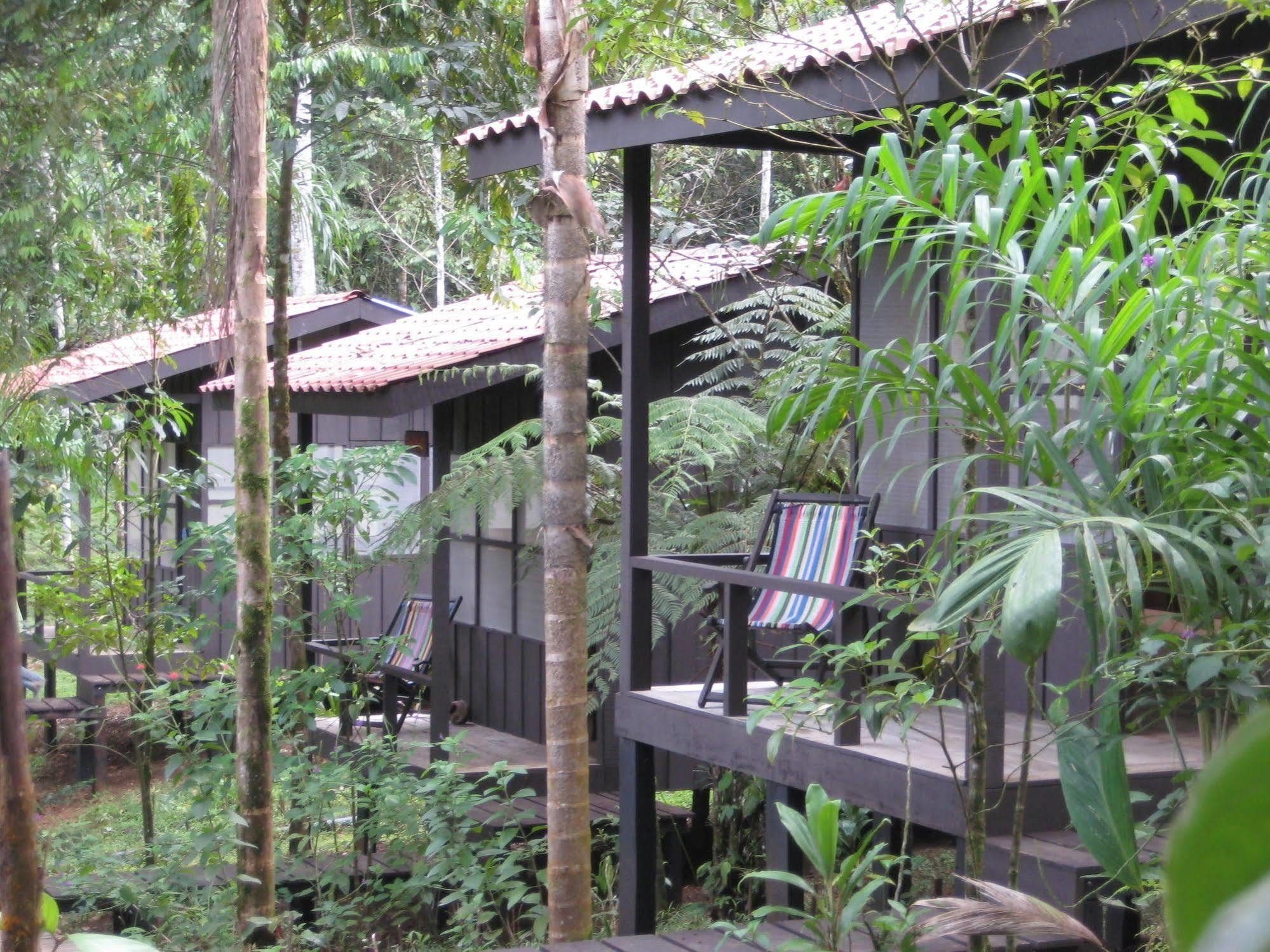 Yatama Rainforest Ecolodge Sarapiquí エクステリア 写真