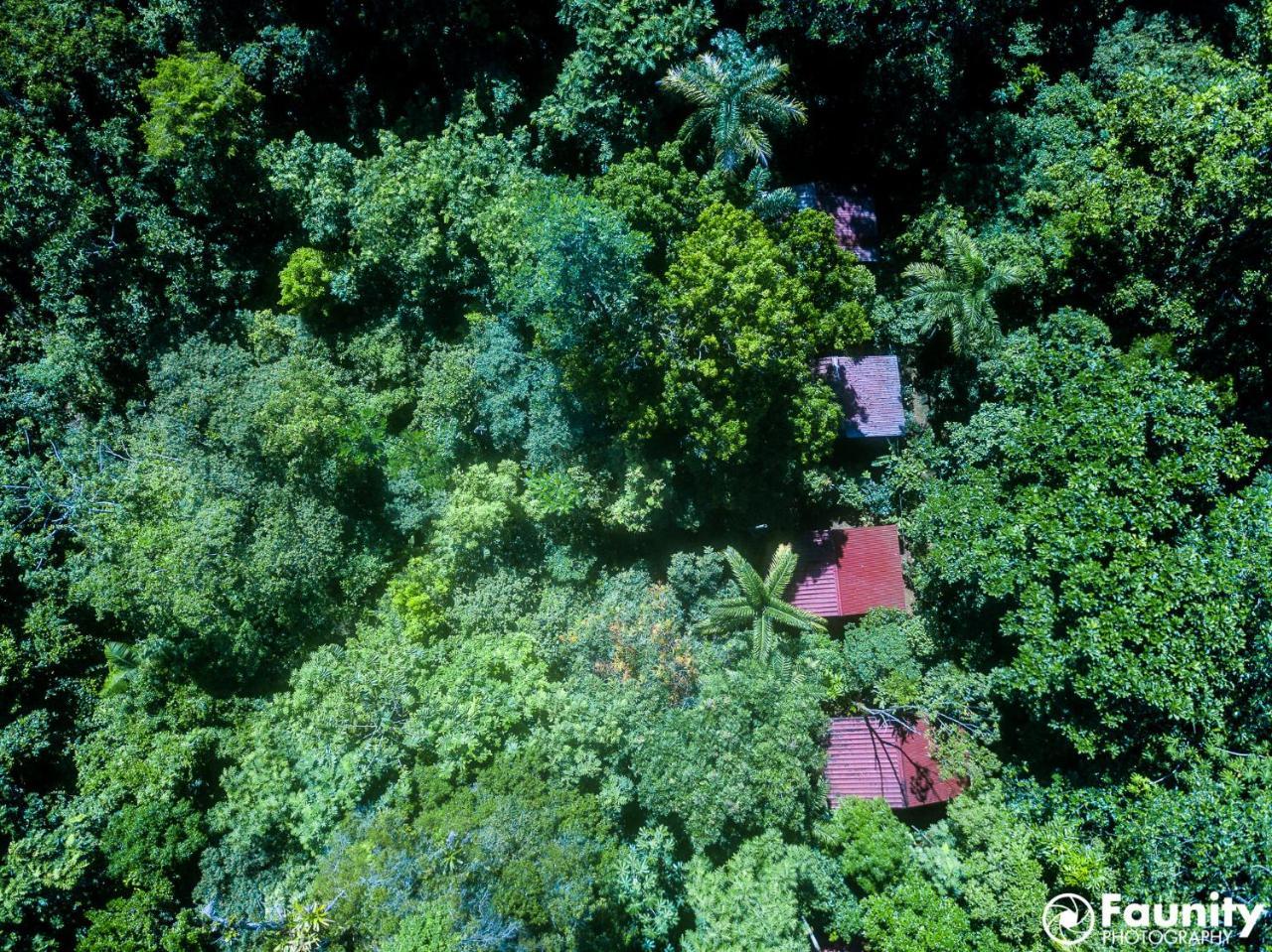 Yatama Rainforest Ecolodge Sarapiquí エクステリア 写真
